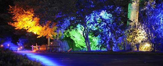 arbres DAWALIGHT Spot de jardin LED avec piquet 6 W plantes 3000 K Blanc chaud Pour jardin Éclairage extérieur étanche IP65 chemins 
